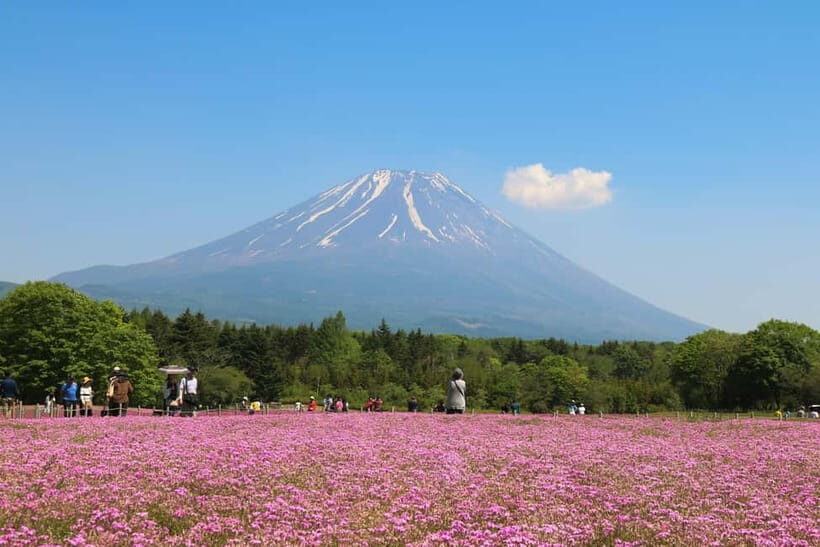 1-Day Mt Fuji and Hakone Sightseeing trip from Tokyo - Oishi Park: the place for views plus small comforts