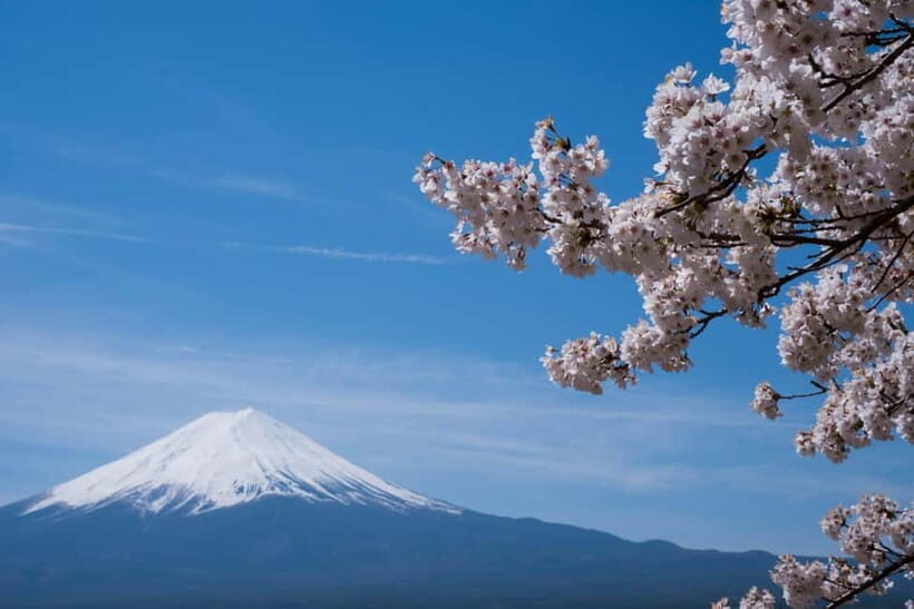 1-Day Mt Fuji and Hakone Sightseeing trip from Tokyo - Hakone Shrine: closing the day with a calm cultural stop