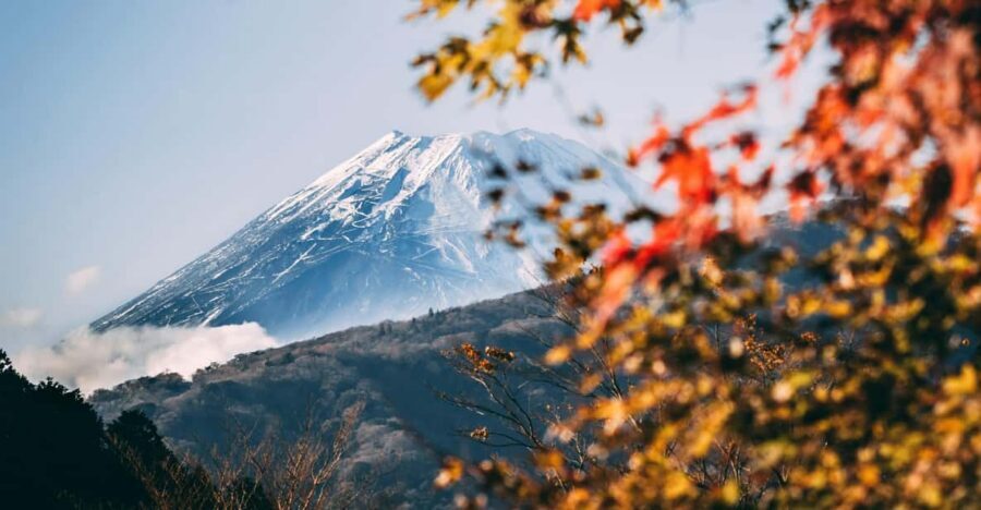 1-Day Mt Fuji and Hakone Sightseeing trip from Tokyo - How the pick-up and car ride shape the whole day