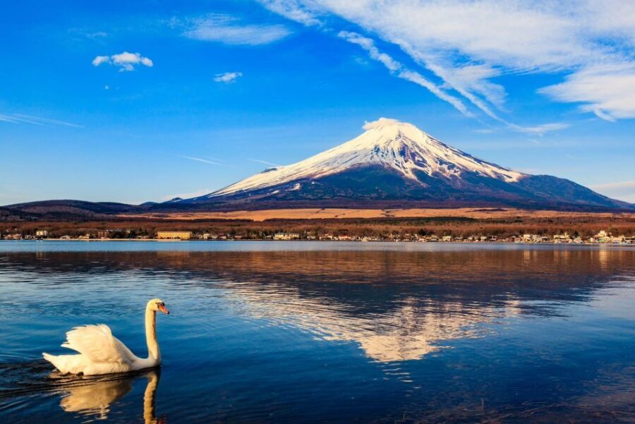 1-Day trip: Mt Fuji + Kawaguchi Lake area - How pickup in Tokyo sets the tone for the day