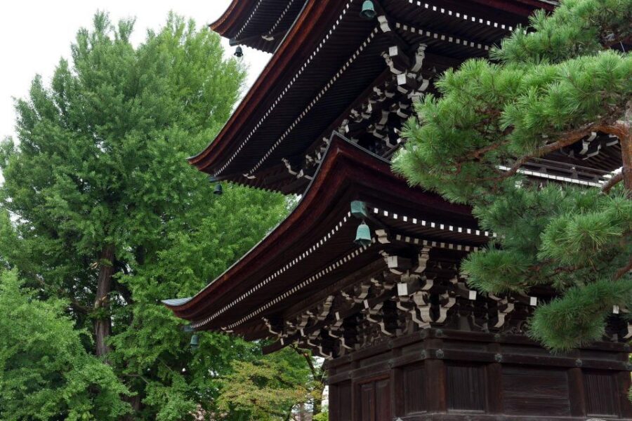 1-Day trip: Mt Fuji + Kawaguchi Lake area - Music Forest Museum for a quirky, indoor-friendly pause