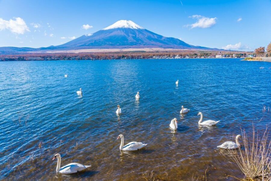 1-Day trip: Mt Fuji + Kawaguchi Lake area - Itchiku Kubota Art Museum for a different kind of Fuji connection