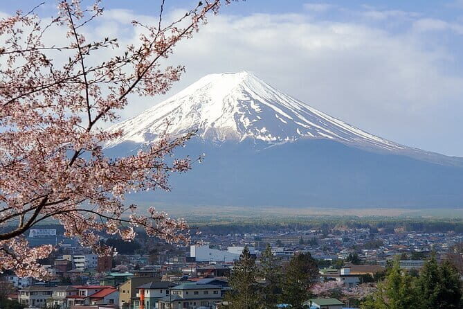 2 Days Tokyo ,Mount Fuji / Hakone Private Tour from Tokyo - Key highlights worth planning around
