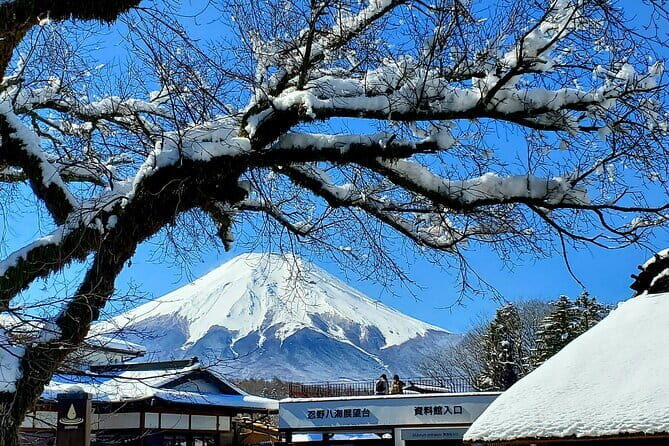 2 Days Tokyo ,Mount Fuji / Hakone Private Tour from Tokyo - Senso-ji Temple and Takeshita Street: two Tokyo moods in one day