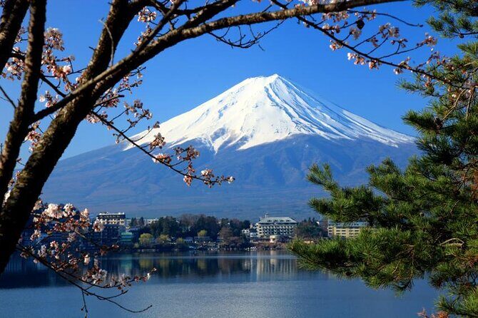 Best Mt Fuji and Hakone Full-Day Bus Tour from Tokyo - Key takeaways before you go