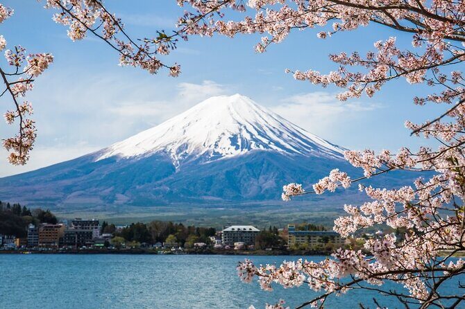 Day Trip To Mount Fuji and Hakone from Tokyo with English Guide - Key things I’d pay attention to