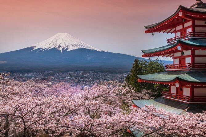 Day Trip To Mount Fuji and Hakone from Tokyo with English Guide - Oshino Hakkai and Kitaguchi Hongu Fuji Sengen Jinja: Calm Water and Cedar Shade