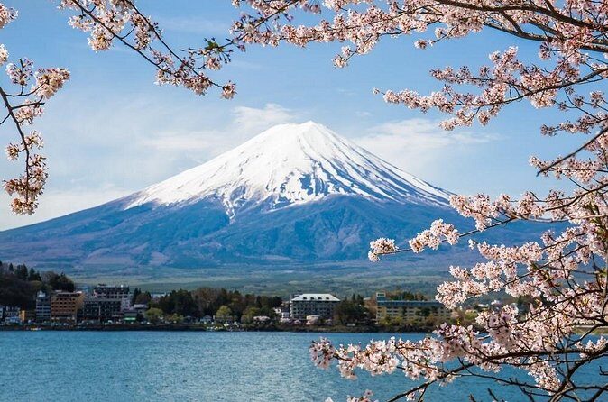Day Trip To Mount Fuji and Hakone from Tokyo with English Guide - Owakudani Valley and the Hakone Open-Air Museum: Volcano Energy in Hakone