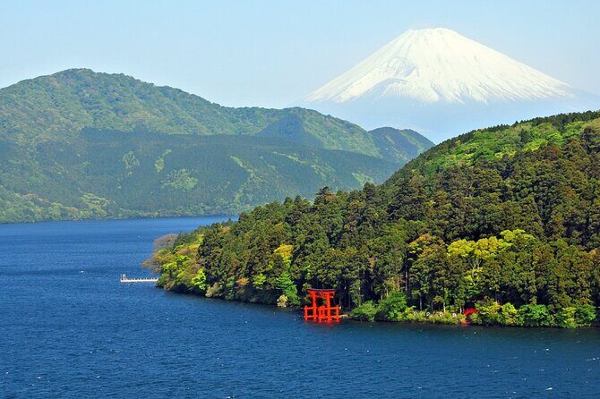 Day Trip To Mount Fuji and Hakone from Tokyo with English Guide - Guide Quality That Makes the Day Feel Effortless (Salman Virk)