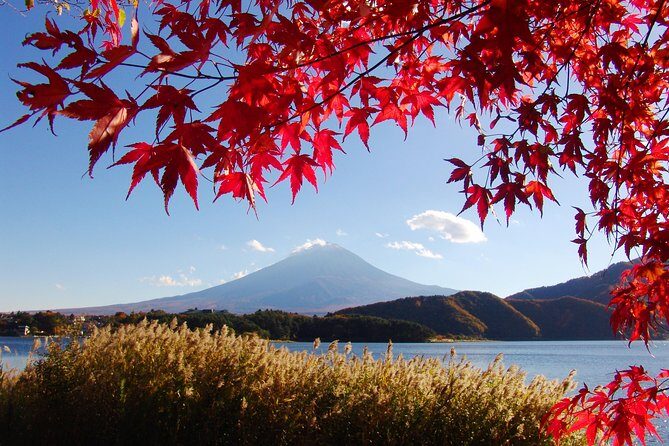 Discover Mt. Fuji 5th Station & Kawaguchiko Sightseeing Day Tour - Fuji-Q Highland Stop: A Lunch Pivot That Works Best When You Stay Flexible