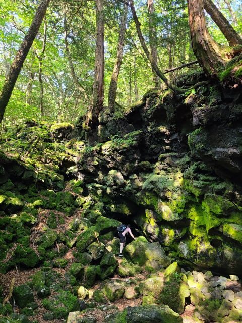 From Kawaguchiko: Mt. Fuji Private Tour with a Local Guide - Hard Off and Saiko Iyashi-no-Sato Nenba: The Quirky Pairing That Keeps It Local