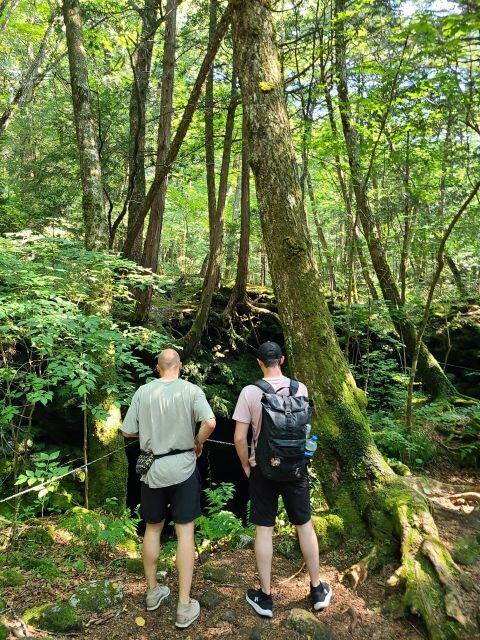 From Kawaguchiko: Mt. Fuji Private Tour with a Local Guide - Waterfall Walks and Shrine Time: Haha-no-Shirataki to Fujikawaguchiko’s Temple Circuit