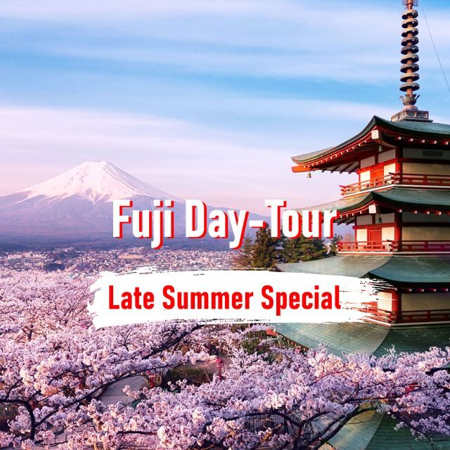 From Tokyo: 10-hour Mount Fuji Private Customizable Tour - What the included services mean in plain terms