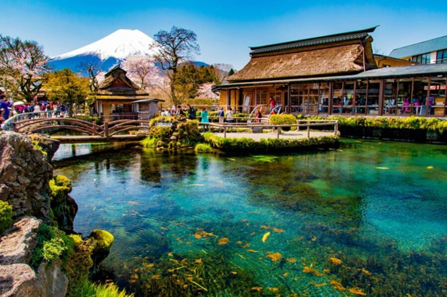 From Tokyo: Fuji Mountain Area - FujiQ - Lake Kawaguchiko - Chureito Pagoda - Mount Fuji at Oishi Park: The Snow-Capped Icon Shot