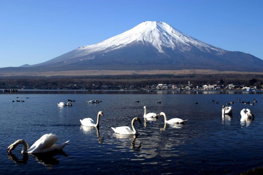 From Tokyo: Fuji Mountain Area - FujiQ - Lake Kawaguchiko - Chureito Pagoda - Fujiyoshida Photo Stop: Quick Views on the Way