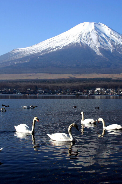 From Tokyo: Fuji Mountain Area - FujiQ - Lake Kawaguchiko - Chureito Pagoda - Arakawa Sengen Park and Chureito Pagoda: Fuji’s Most Famous Foreground
