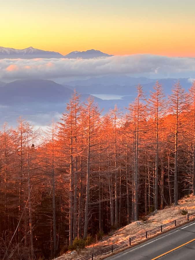 From Tokyo: Mount Fuji and Hakone Private Day Trip - A day that pairs Fuji drama with Hakone slowdown