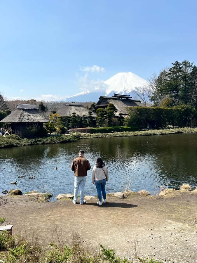 From Tokyo: Mount Fuji and Hakone Private Day Trip - Hakone: volcanic valleys, sulfur steam, and hot-spring vibes