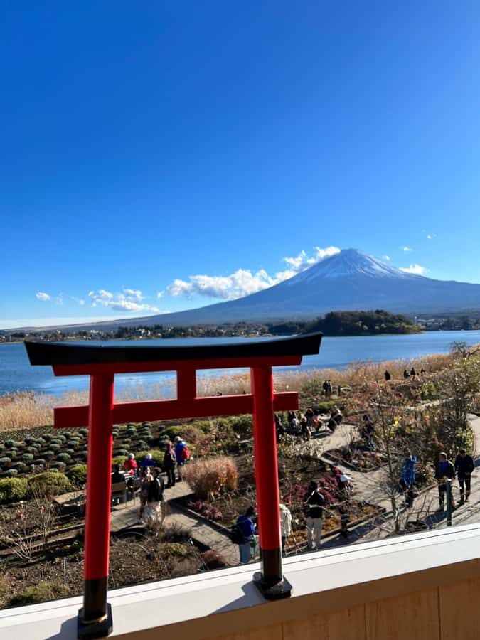 From Tokyo: Mount Fuji and Hakone Private Day Trip - Lake Ashi and the ropeway combo: when the day gets scenic again