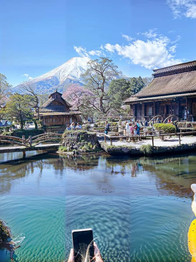 From Tokyo: Mount Fuji and Hakone Private Day Trip - Tokyo-to-Fuji logistics: pickup, timing, and what can change