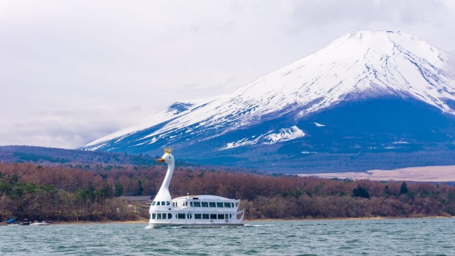 From Tokyo: Mount Fuji, Cruise and Sake Tour - Getting started at the meeting point (and why timing matters)