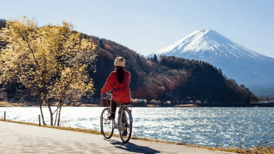 From Tokyo: Mount Fuji Full Customized Tour English Guide - A Private Fuji Day From Tokyo: How the 10-Hour Plan Feels