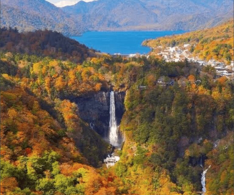 From Tokyo: Mount Fuji Full-Day Customizable Private Tour - Price and Logistics: What You’re Really Paying For