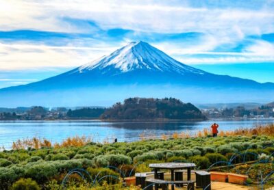 From Tokyo: Mount Fuji Full Day Customizable Private Tour - Mt. Fuji 5th Station: the big-view payoff