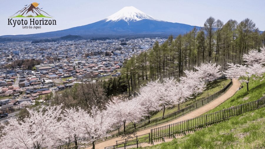 From Tokyo: Mount Fuji Full-Day Customizable Private Tour - What to Bring and How to Keep the Day Comfortable