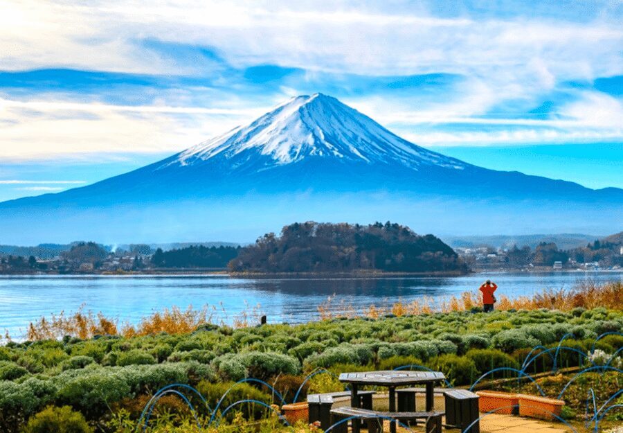 From Tokyo: Mount Fuji Full Day Customizable Private Tour - Mt. Fuji 5th Station: the big-view payoff