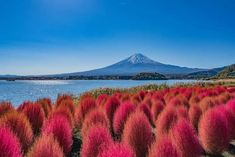 From Tokyo: Mount Fuji Full Day Private Customizable Tour - Starting in the Fuji Five Lakes Area: Lake Kawaguchiko to Oishi Park