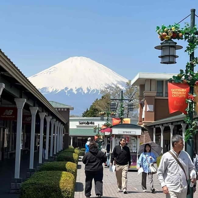 From Tokyo: Mount Fuji Full Day Private Tour (Customizable) - Lunch and timing: plan for a quick meal and keep receipts ready for entrances