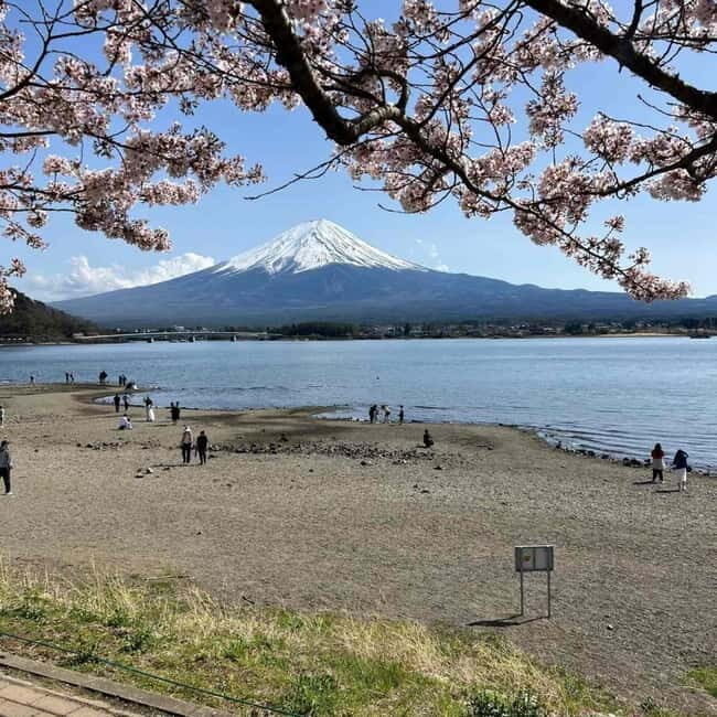 From Tokyo: Mount Fuji Full Day Private Tour (Customizable) - A private Mount Fuji day is about control, not just sightseeing