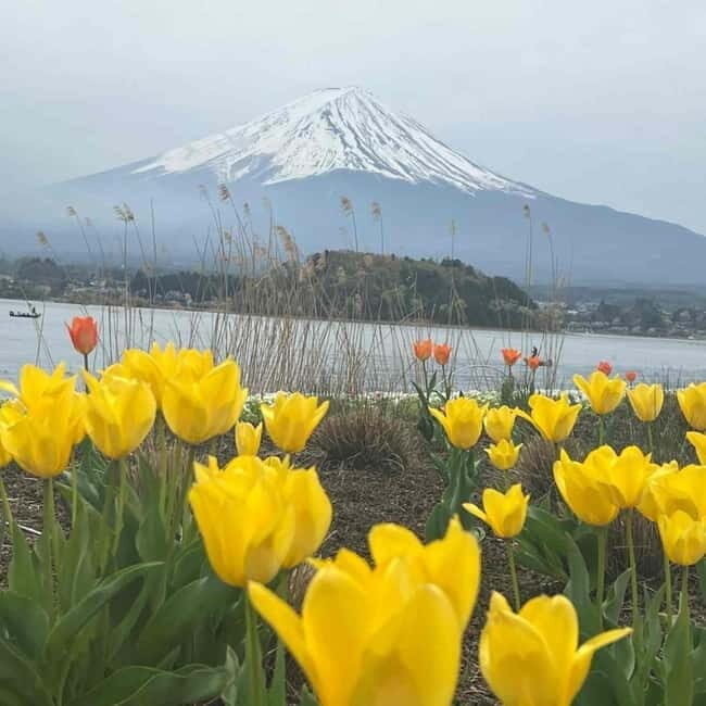 From Tokyo: Mount Fuji Full Day Private Tour (Customizable) - Arakurayama Sengen Park and Chureito Pagoda: where Fuji shows up in photos