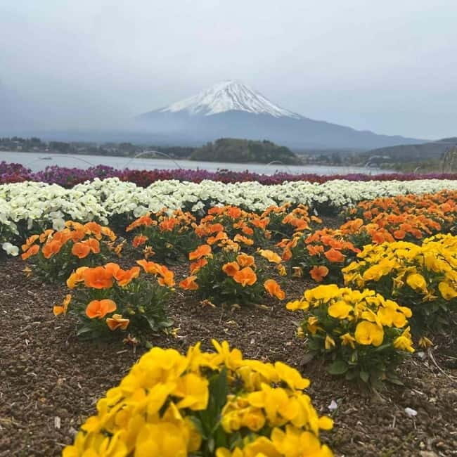 From Tokyo: Mount Fuji Full Day Private Tour (Customizable) - Lake Kawaguchi: slow down and choose your way to experience Fuji