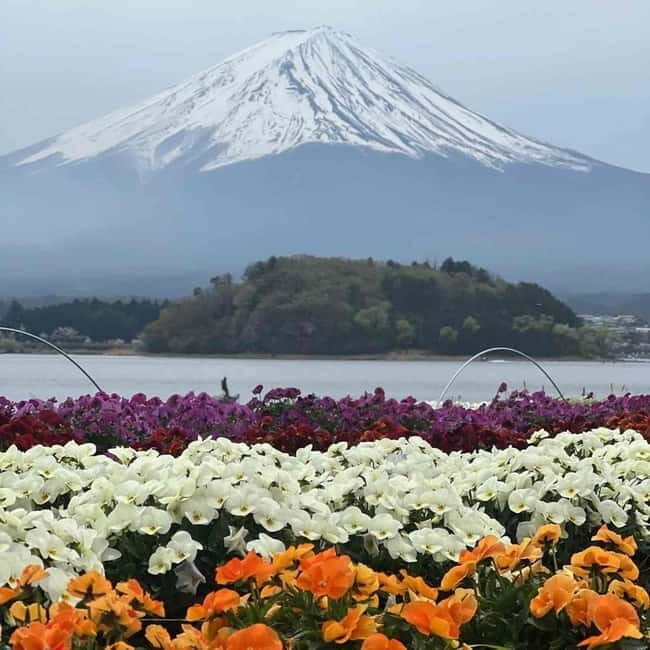 From Tokyo: Mount Fuji Full Day Private Tour (Customizable) - Oshino Hakkai and Oishi Park: traditional village + a break that feels local