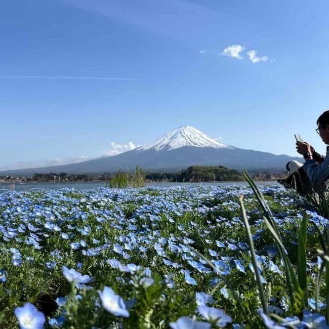 From Tokyo: Mount Fuji Full Day Private Tour (Customizable) - Kitaguchi-hongu Fuji Sengen Shrine: photos, shopping, and calm breaks