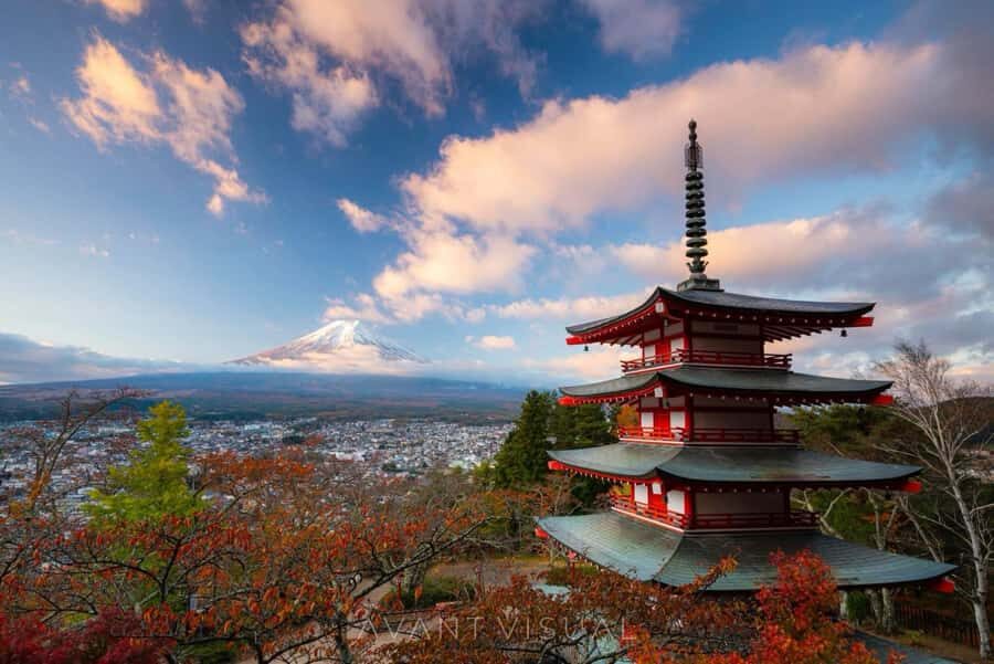 From Tokyo: Mount Fuji Full Day Private Tour English Guide - Key things to know before you go