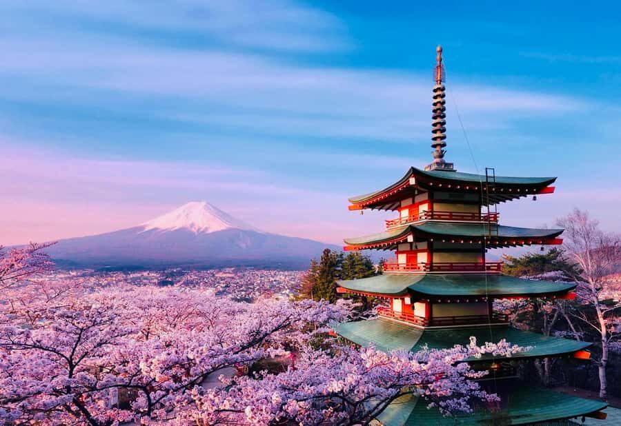 From Tokyo: Mount Fuji Full Day Private Tour English Guide - Lake Kawaguchi and Oishi Park: Fuji with water in the foreground