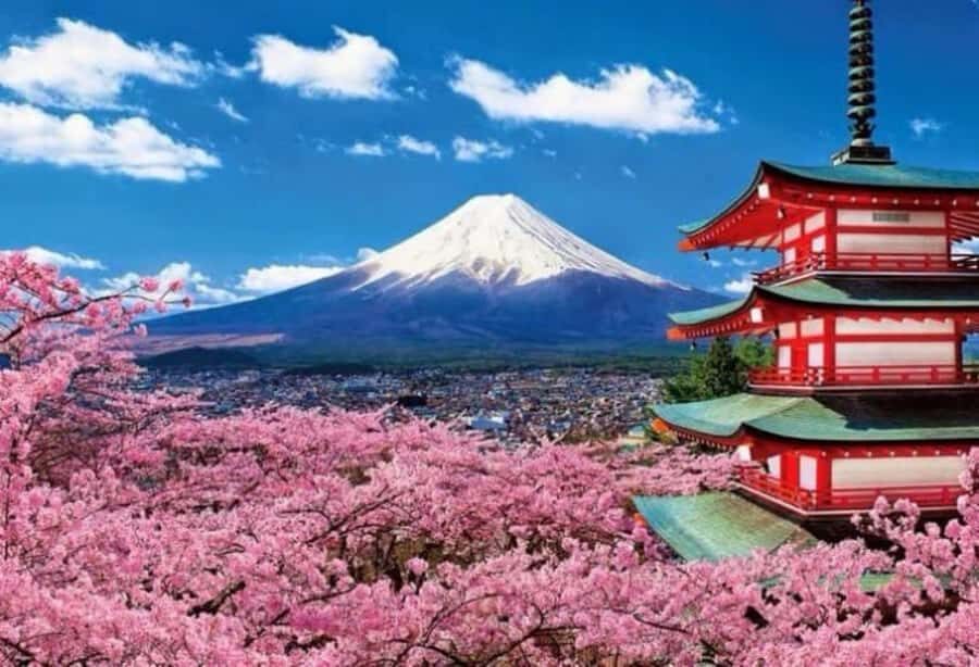 From Tokyo: Mount Fuji Full Day Private Tour English Guide - Kita-Guchi Fuji Sengen Shrine: the spiritual reset