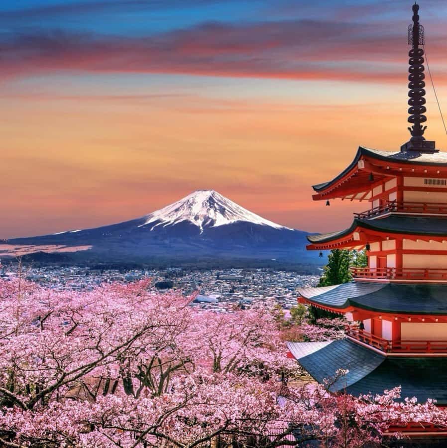 From Tokyo: Mount Fuji Full Day Private Tour English Guide - When weather and crowds mess with the plan