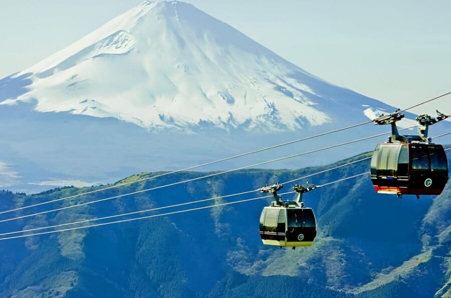 From Tokyo: Mount Fuji & Hakone Full Day Private Tour - Fuji Subaru Line 5th Station (about 2300 m): the altitude stop with payoff