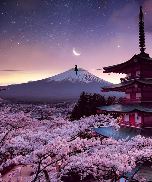 From Tokyo: Mount Fuji & Hakone Full Day Private Tour - Saiko Iyashi-no-Sato Nenba + Oshino Hakkai: thatched-roof Japan without a full-day detour