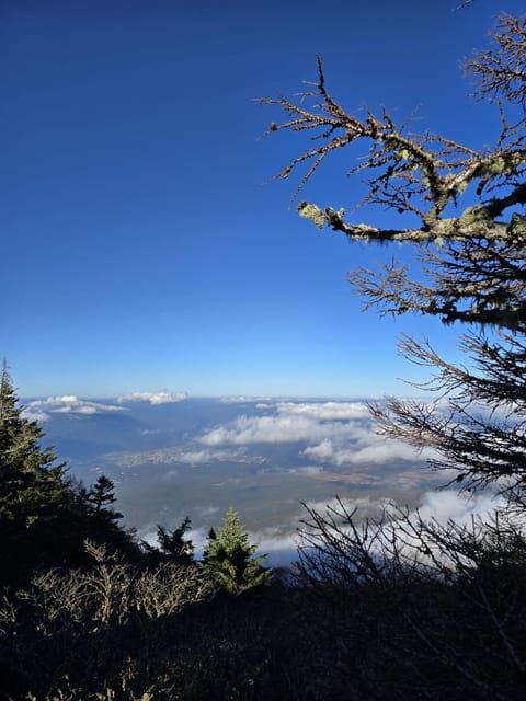 From Tokyo: Mount Fuji & Hakone Full Day Private Tour - Narusawa Ice Cave and Chureito Pagoda: two quick stops that change the mood