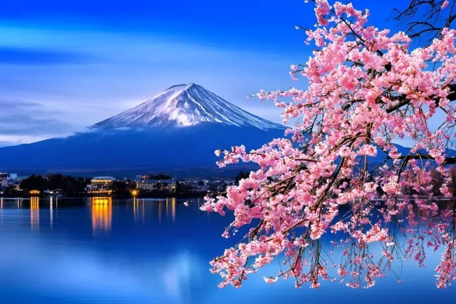From Tokyo: Mount Fuji & Hakone Full Day Private Tour - Private ride with an English-speaking guide: what it actually changes