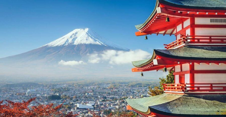 From Tokyo: Mount Fuji Private Day Tour - The real value of a Tokyo-to-Fuji private charter car