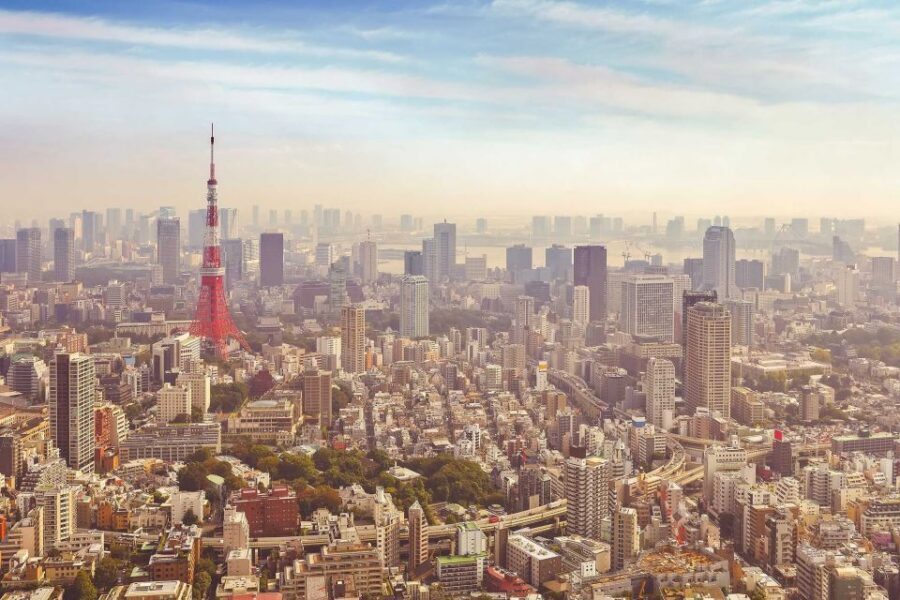 From Tokyo: Mount Fuji Private Day Tour - Arakurayama Sengen Park and the five-storied pagoda viewpoint