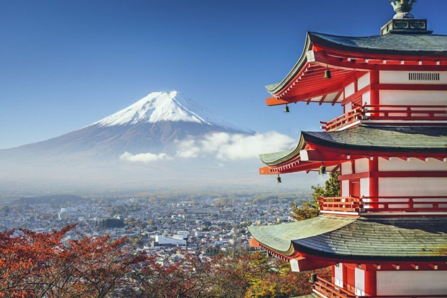 From Tokyo: Mount Fuji Private Day Tour - Comfort, accessibility, and who this 10-hour day suits best