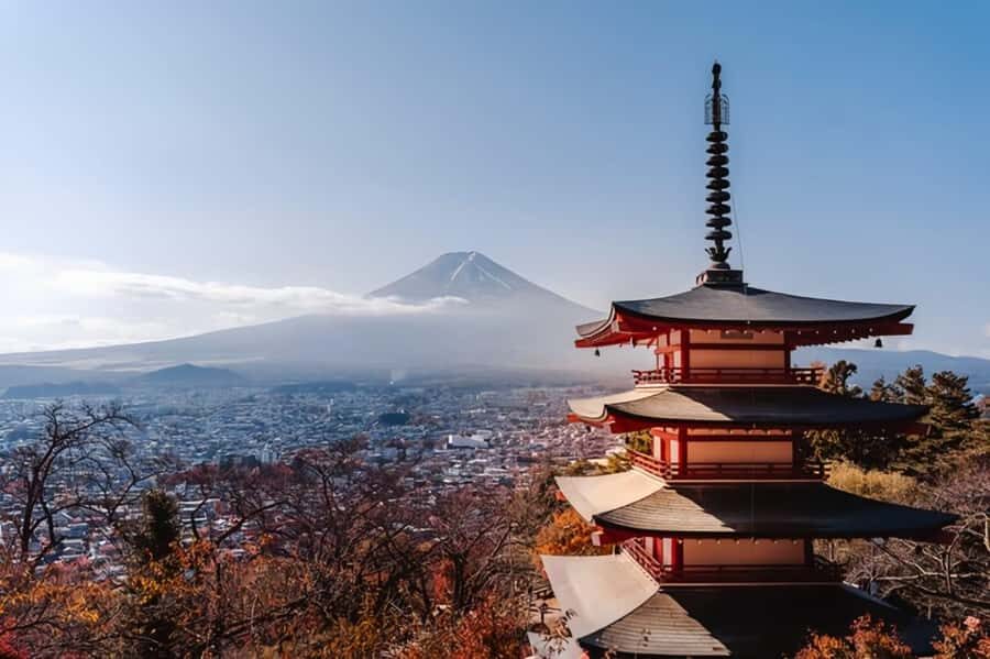 From Tokyo : Mount Fuji Private Day Tour with English Driver - Late 2024 to early 2025: what each season tends to bring