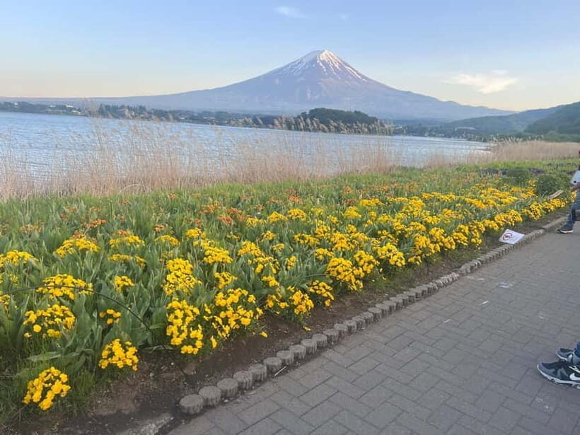 From Tokyo: Mount Fuji Private Tour with a Driver/Guide - Getting Set Up: Pickup, Timing, and the Day’s Tempo